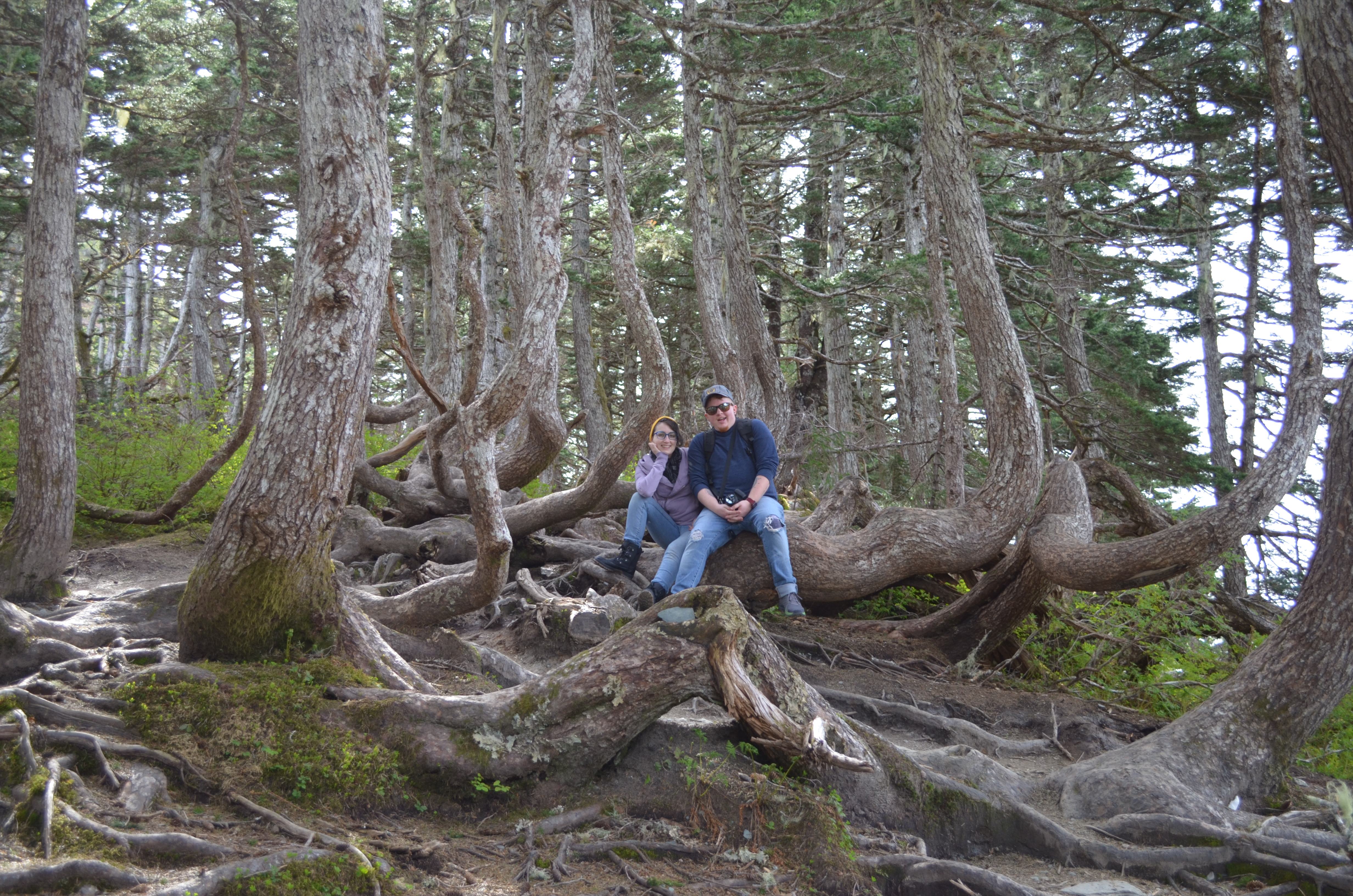 ./2017/08 - Alaska Cruise/08 - Juneau/DSC_0901.JPG